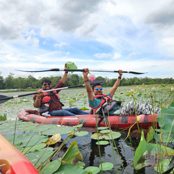 Activities in Tadoba
